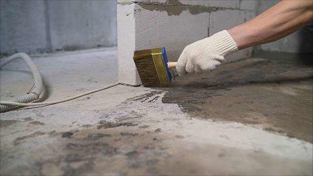 Top rated local Basement Waterproofing specialists in Barboursville, VA